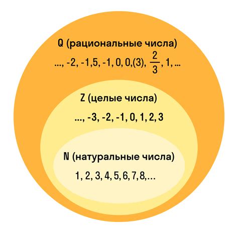 Понятие заднего числа в БЛ и его значение