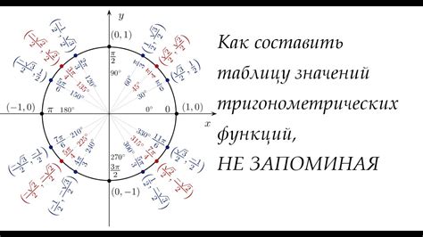 Понятие и значение синуса числа