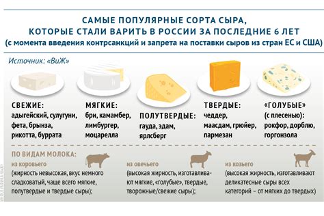 Популярные сорта сыра, которые можно брать в ручную кладь