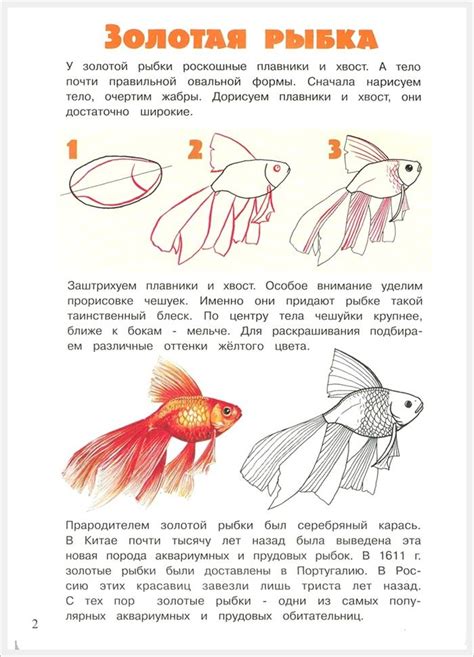 Последовательные шаги и техники рисования рыбки сомика