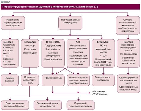 Последствия высокого уровня кальция