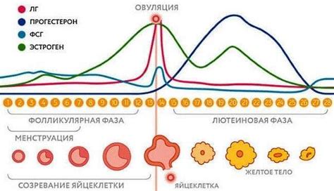 Последствия кровотечения при зачатии для будущей мамы