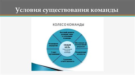 Поставка реального весового цели с шагом 2 кг в неделю: ключевой фактор успеха