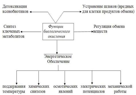 Постепенное высвобождение энергии