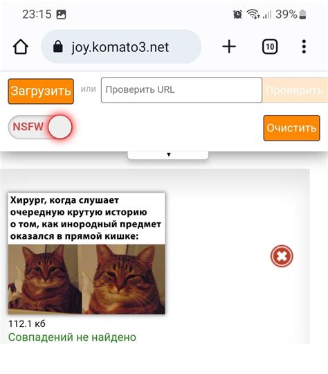 Посторонние предметы в гортани кота