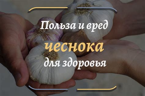 Потенциальные негативные последствия употребления чеснока ночью