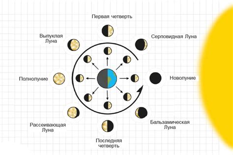 Почему важно знать фазы луны