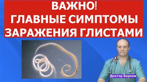 Почему важно определить глистов?