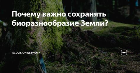 Почему важно сохранять данные