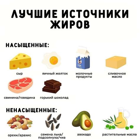 Почему грызуны так ценят продукты с большим содержанием жира?