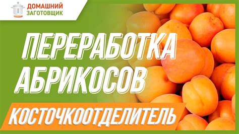 Почему некоторые отгрызают мякоть от маслины и выкидывают косточку?