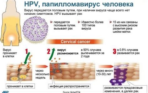 Почему сдача крови на ВПЧ возможна?