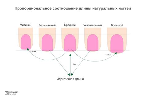 Правила гигиенической подстрижки ногтей