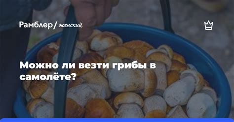 Правила и ограничения: можно ли везти грибы в самолете?