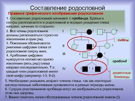 Правила классификации родословной типа пробанда