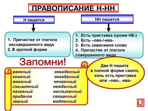 Правила написания деепричастий с одной и двумя "н": примеры и правила