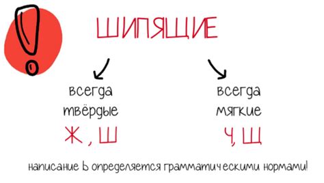 Правила написания мягкого знака после буквы "Ч"