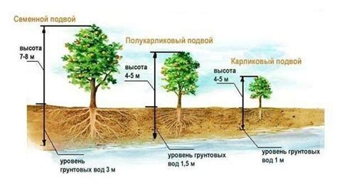 Правильное использование элементов посадки