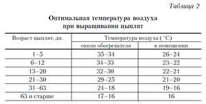 Правильное освещение и температурный режим