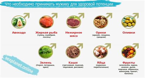 Правильное питание: продукты, которые помогают повысить потенцию