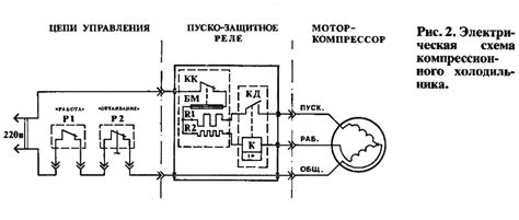 Правильное подключение и включение холодильника в сеть