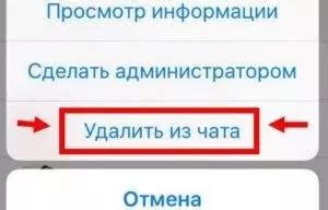 Правильный способ убрать админа в Вайбере без удаления