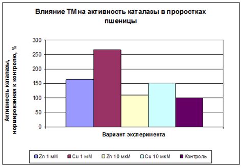 Практическая часть эксперимента