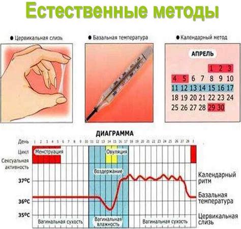 Практические советы по справлению с сменой настроения при овуляции