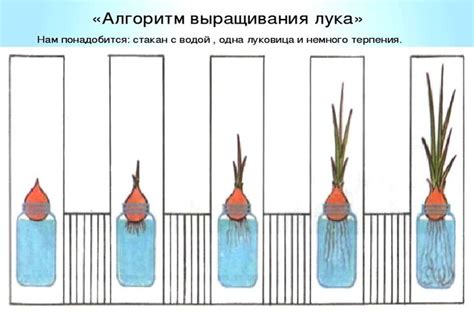 Превращение лука в инструмент для сторожей