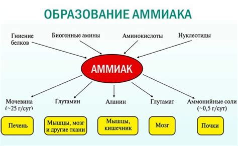 Предотвращение проблем с мочевыми путями