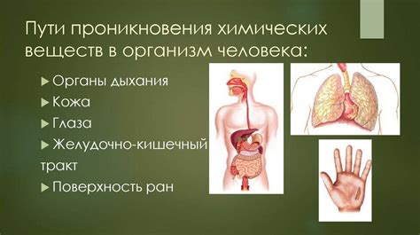 Предотвращение проникновения химических веществ