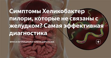 Предупреждение и борьба с хеликобактер пилори внешней среде