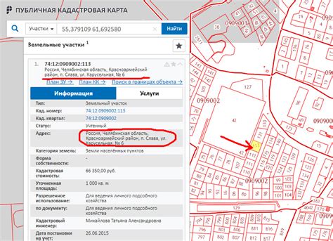 Преимущества и недостатки говорения кадастрового номера риэлтором