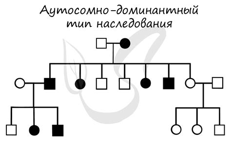 Признаки наследования