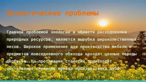 Применение природных абсорбентов