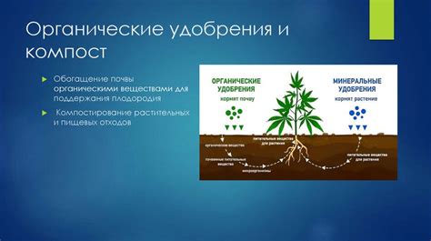 Применение экологически чистых методов