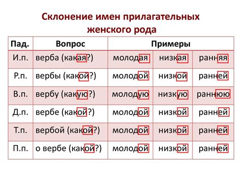 Примеры склонения фамилии Калита в женском роде