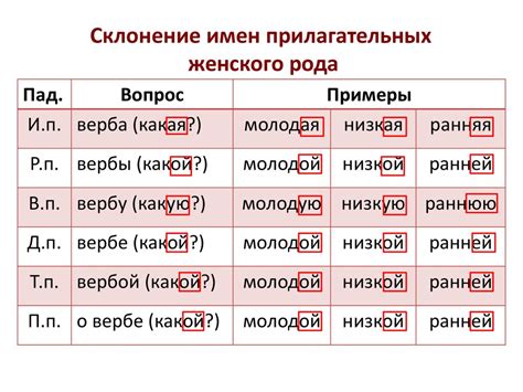 Примеры склонения фамилии Калита в женском роде