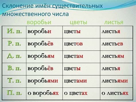 Примеры слов в разных падежах во множественном числе