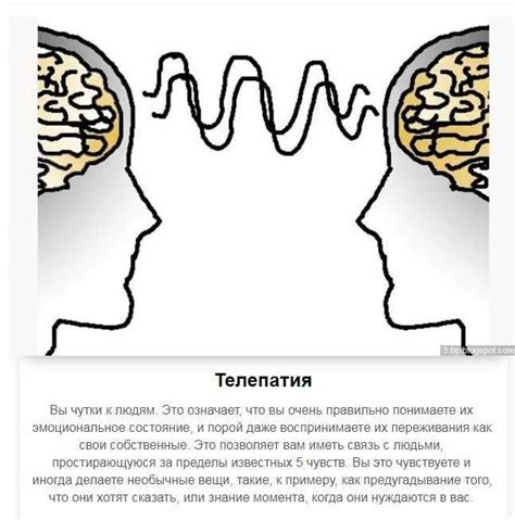 Принципы работы залым телепатии и ее возможности