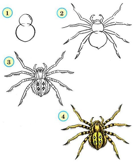 Принципы рисования паука