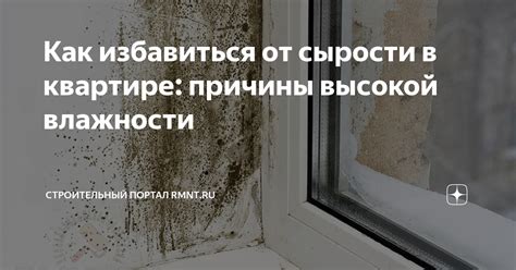 Причины и последствия сырости в квартире на первом этаже