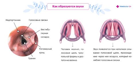 Причины и симптомы потери голоса