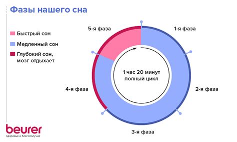 Причины сна и резонация: все, что нужно знать