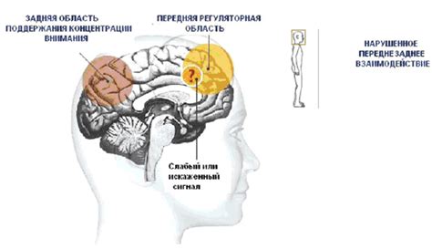 Причины утери внимания