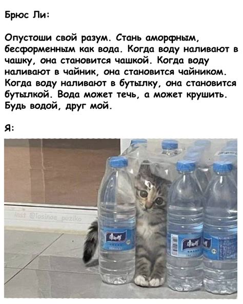 Приём воды коту