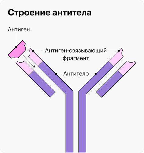 Проблема с неподходящим цветом хны