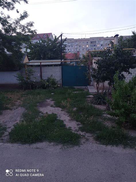 Продажа или обмен лягушки