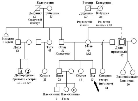 Пройдите тесты ДНК для родословной