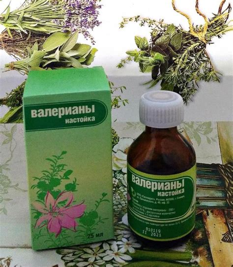 Противопоказания к применению валерианы при гипертонии